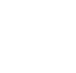 Selo comemorativo dos 30 anos do INF